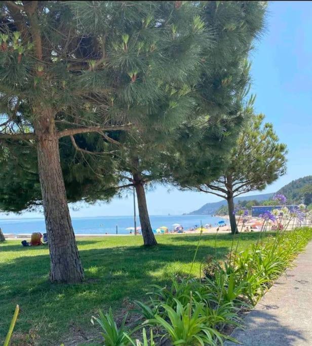 Setubal Rp House Apartamento Perto Do Mar E Comercio Na Luisa Todi Buitenkant foto